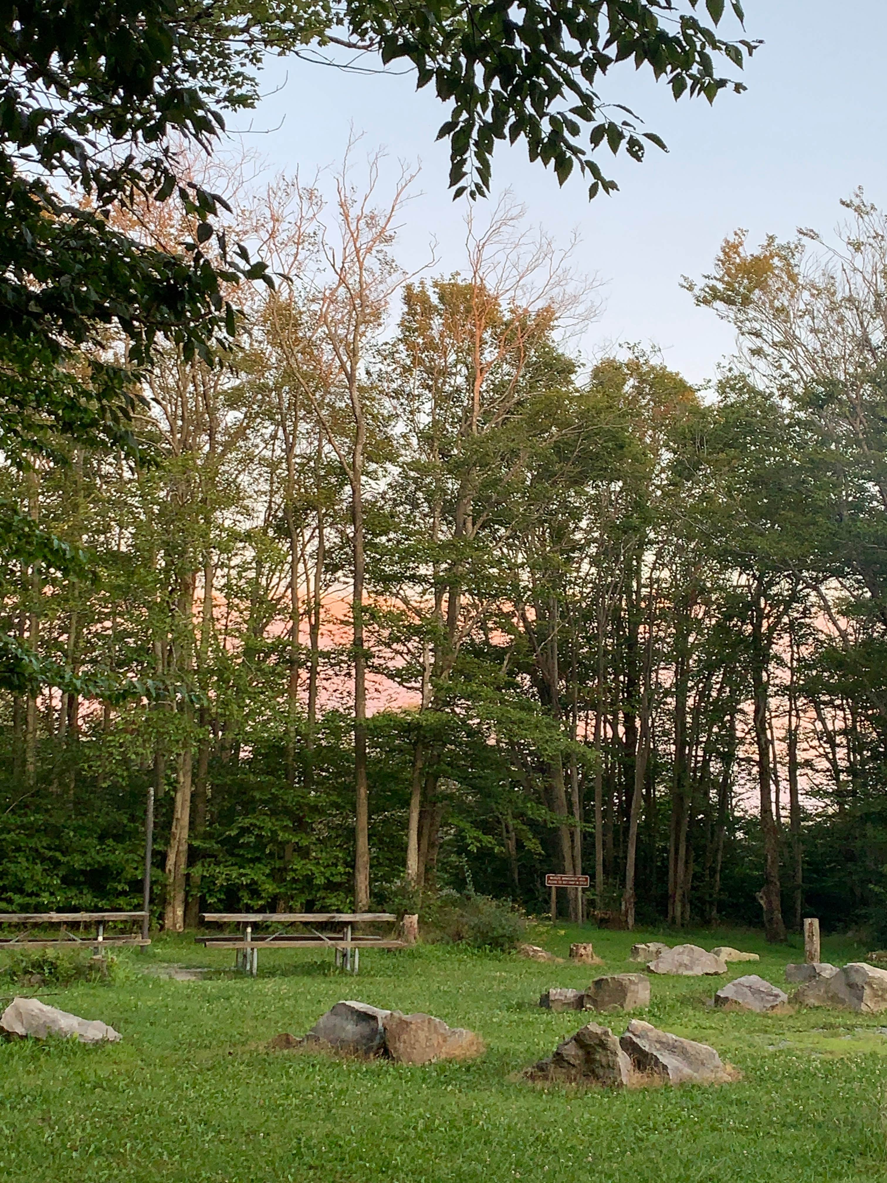 Camper-submitted photo at Gatewood Group near Belington, WV