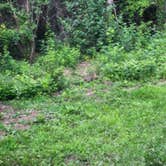 Review photo of Sunset Campground — Richard Bong State Recreation Area by Tim H., August 15, 2025