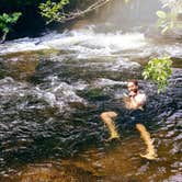 Review photo of Bagley Rapids NF Campground by Chris B., July 31, 2019