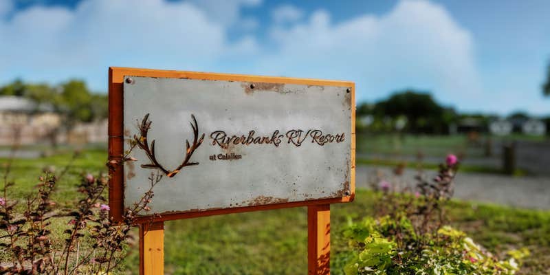 Camper submitted image from Riverbanks RV Park