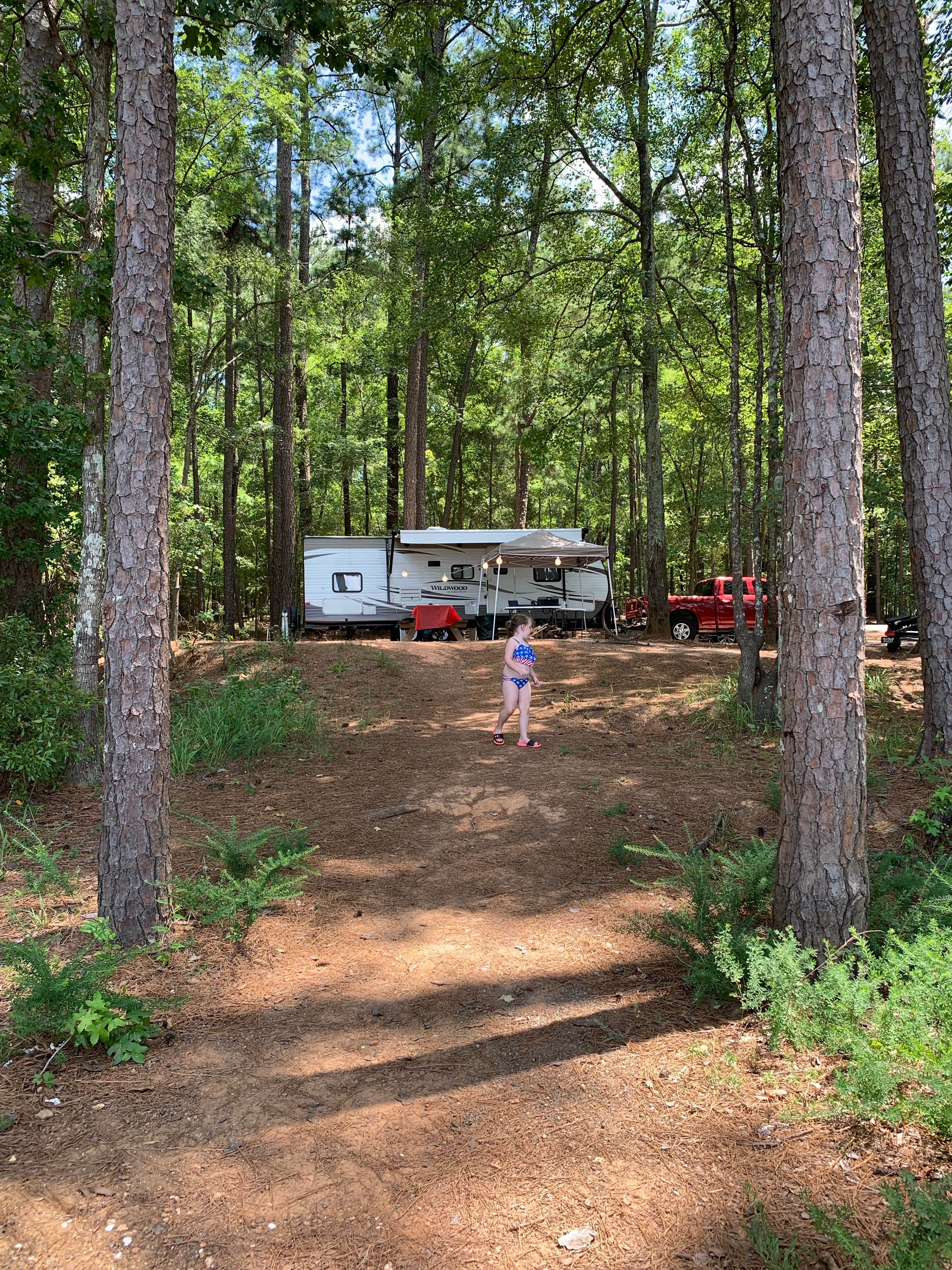 Stephanie D.'s photo of rv camping at Hamilton Branch State Park Campground near Warrenville, SC