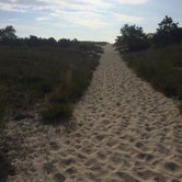 Review photo of Cape Henlopen State Park Campground by Sarah M., September 23, 2016