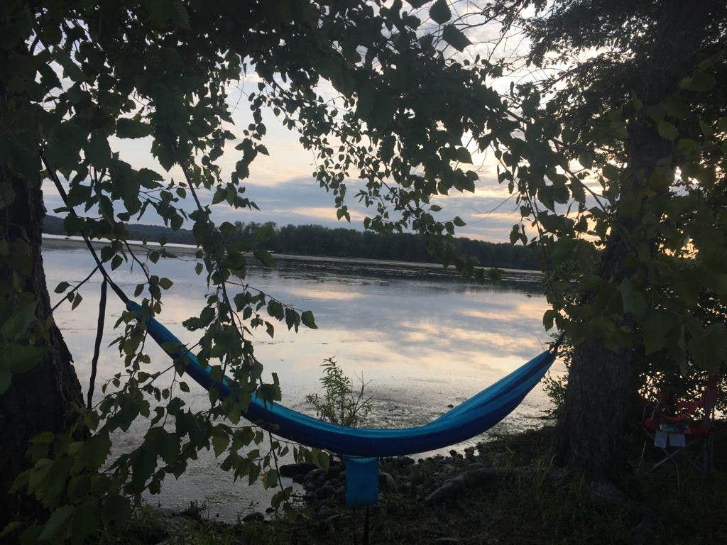 Camper submitted image from Mississippi Palisades State Park Campground - 3