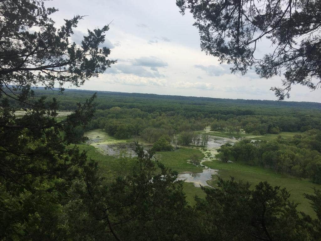 Camper submitted image from Mississippi Palisades State Park Campground - 2