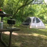 Review photo of Mississippi Palisades State Park Campground by Jenna M., July 31, 2019