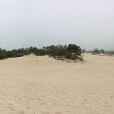 Review photo of Cape Henlopen State Park Campground by Sarah M., September 23, 2016