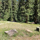 Review photo of South Mineral Campground by Isabelle K., July 31, 2019