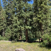 Review photo of South Mineral Campground by Isabelle K., July 31, 2019