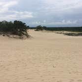 Review photo of Cape Henlopen State Park Campground by Sarah M., September 23, 2016