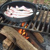 Review photo of Elk Neck State Park Campground by Drew T., July 31, 2019