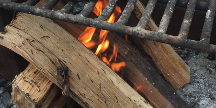 Camper submitted image from Elk Neck State Park Campground