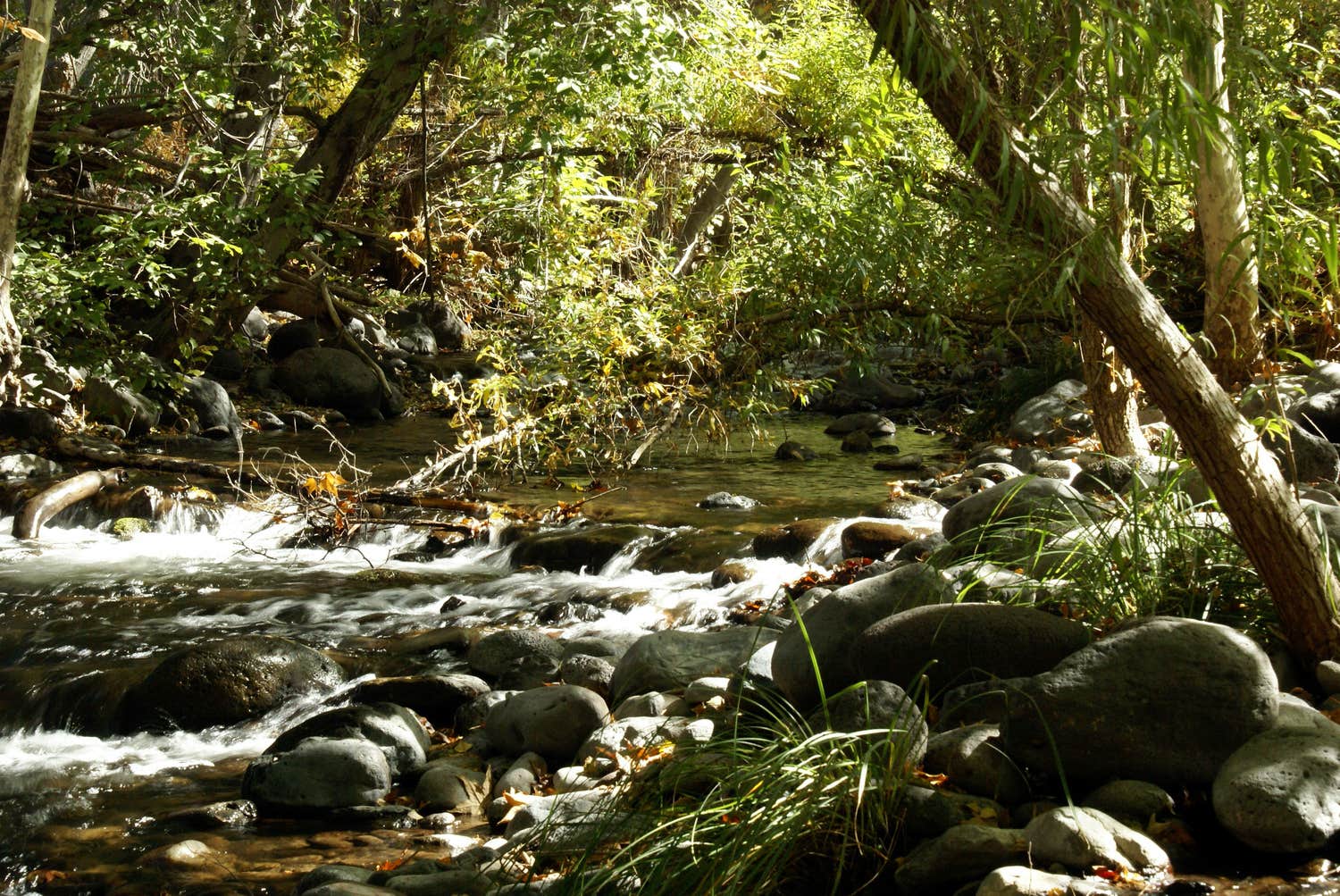 Camper-submitted photo at Zane Grey RV Village near Sedona, AZ