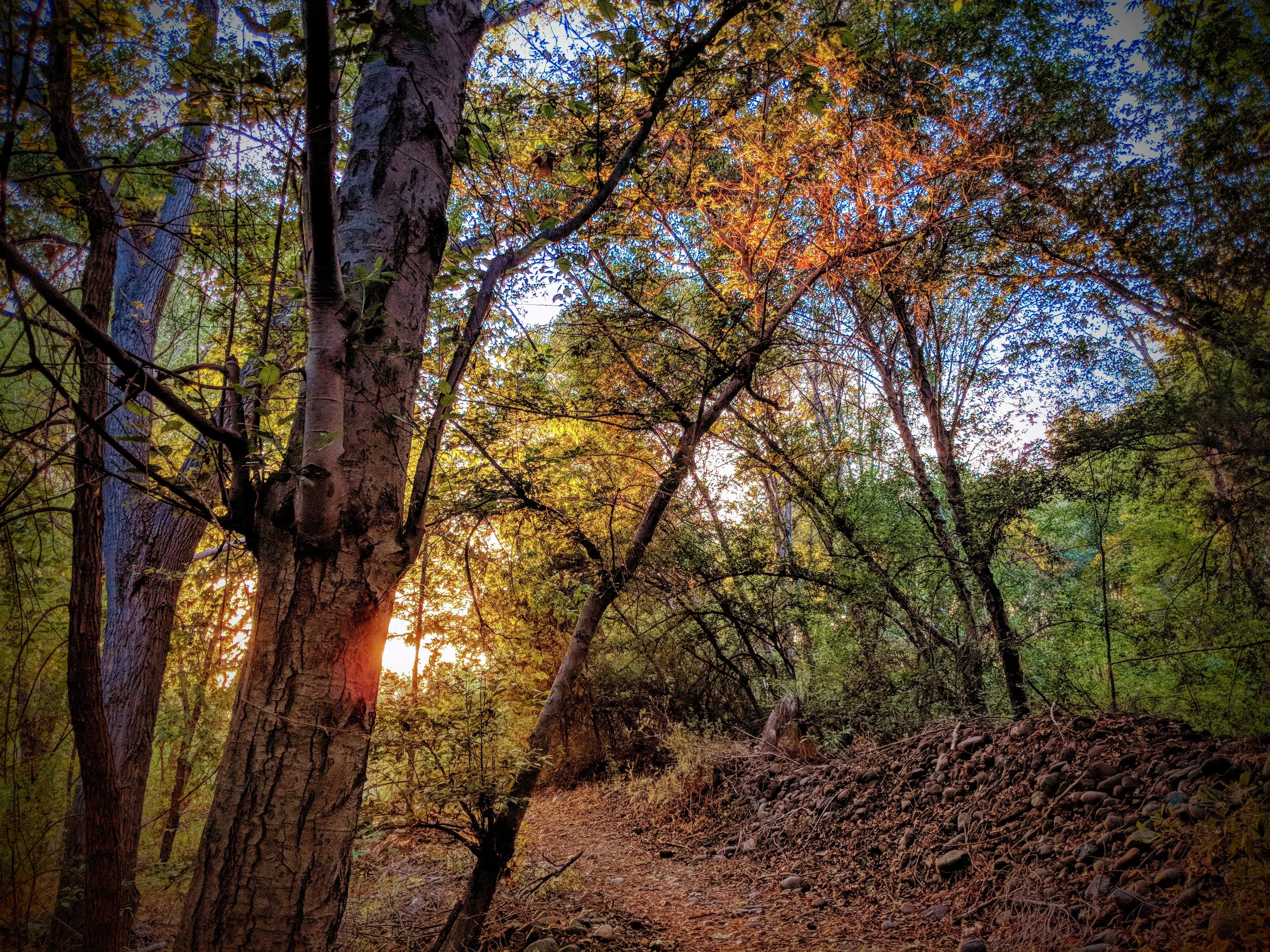 Camper-submitted photo at Zane Grey RV Village near Sedona, AZ