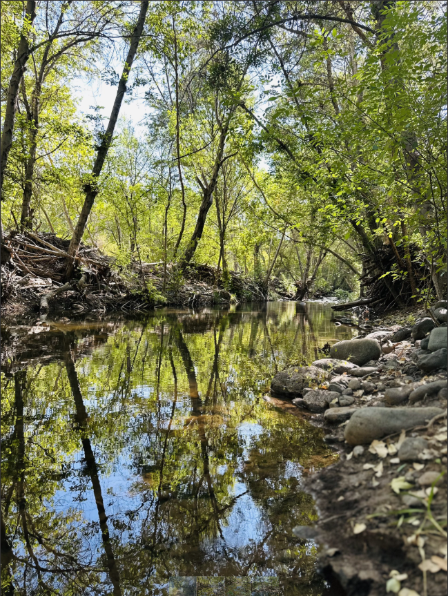 Camper-submitted photo at Zane Grey RV Village near Payson, AZ