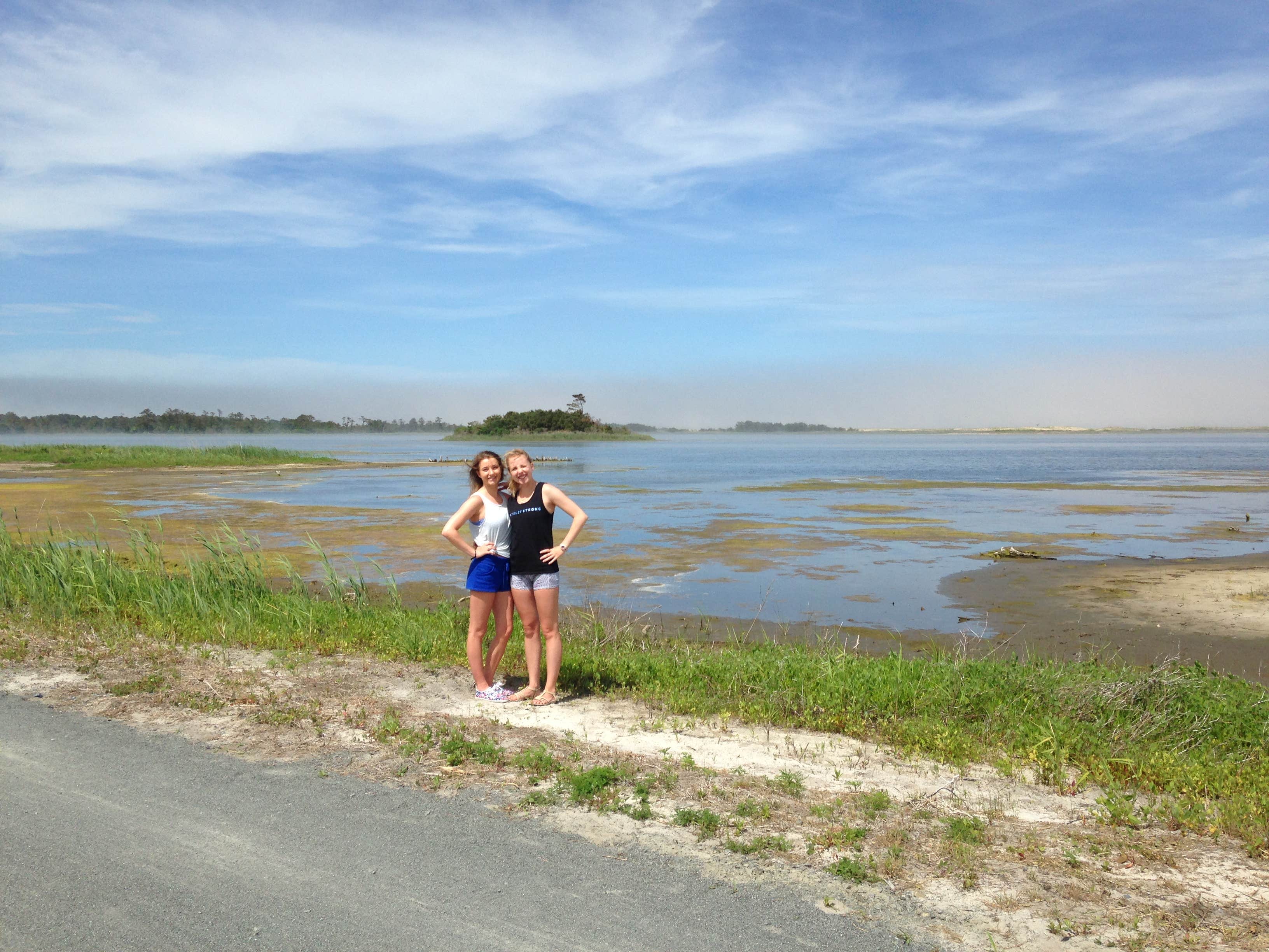 Camper submitted image from Cape Henlopen State Park Campground - 3