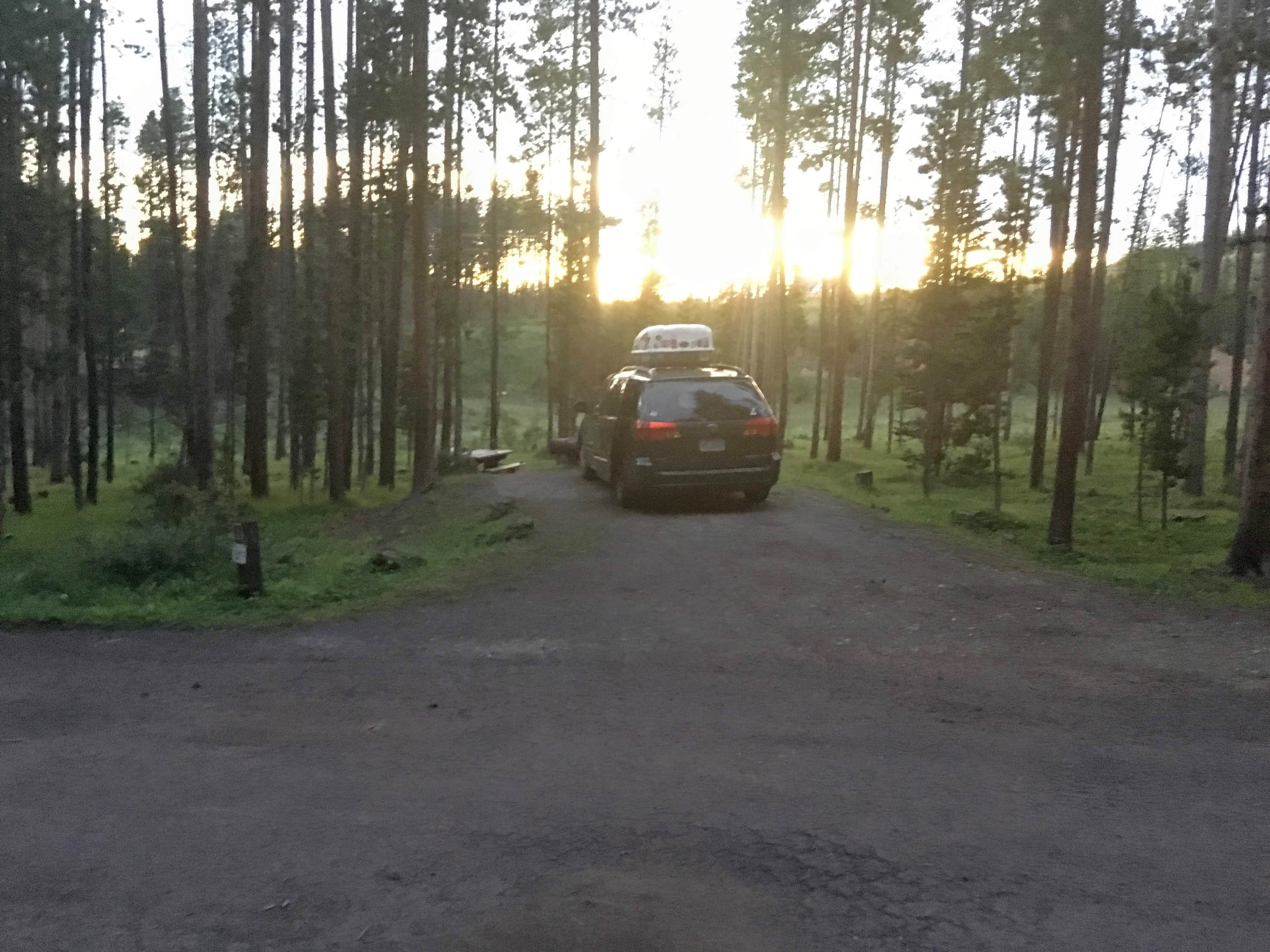 Camper submitted image from Lodgepole Campground - 2