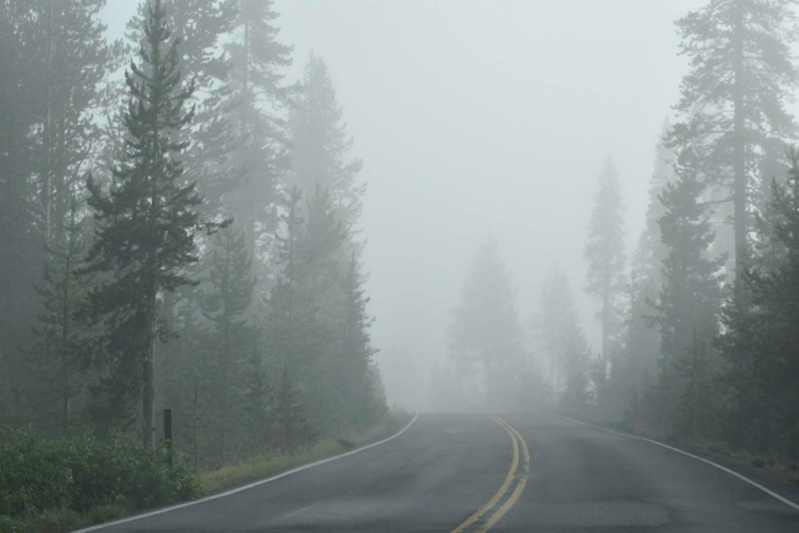 foggy road near the campground