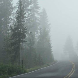 foggy road near the campground