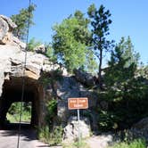 Review photo of Blue Bell Campground — Custer State Park by Tara S., July 31, 2019