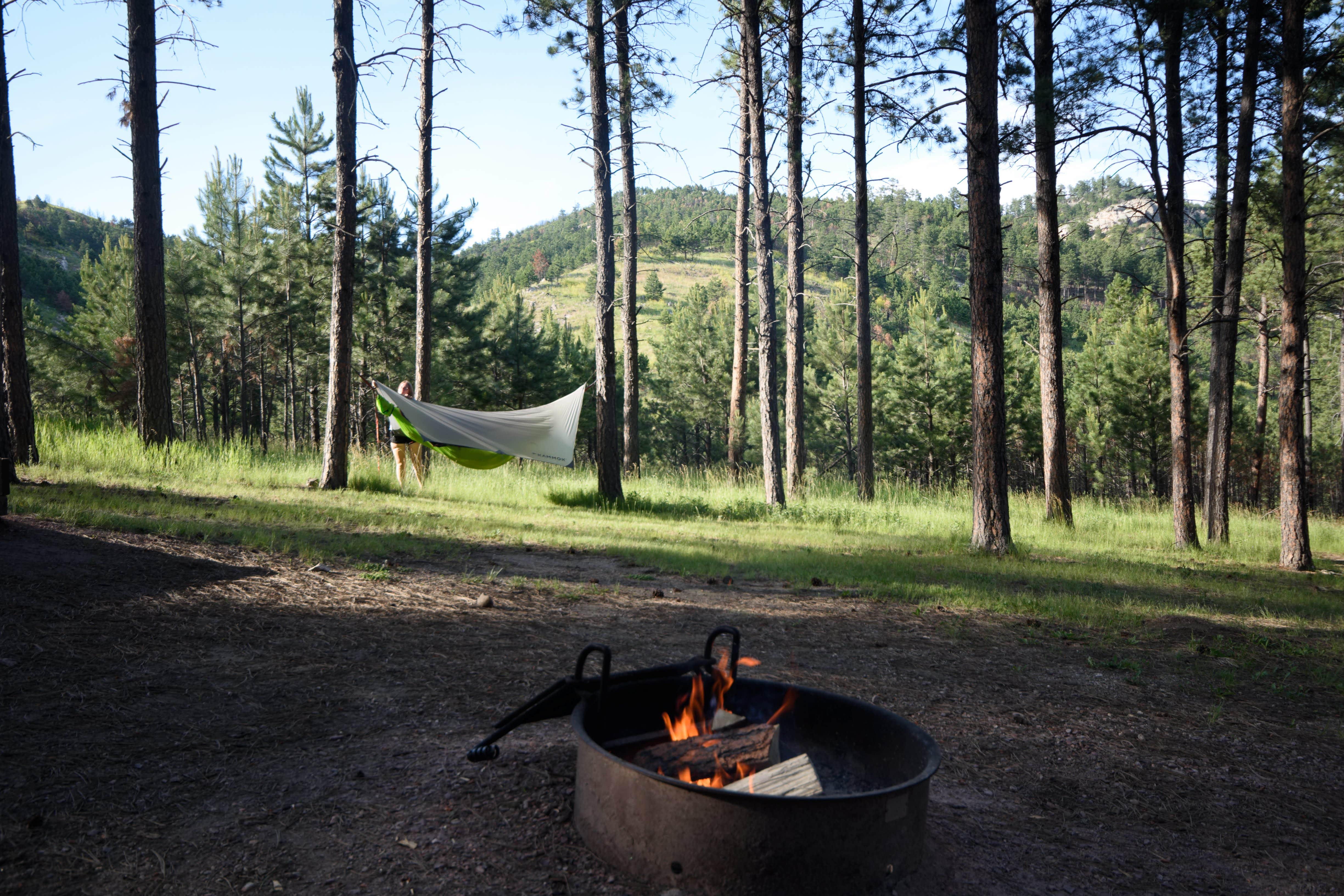 Tara S.'s photo at Blue Bell Campground — Custer State Park near Fairburn, SD