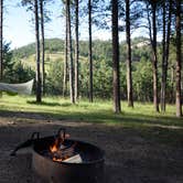 Review photo of Blue Bell Campground — Custer State Park by Tara S., July 31, 2019