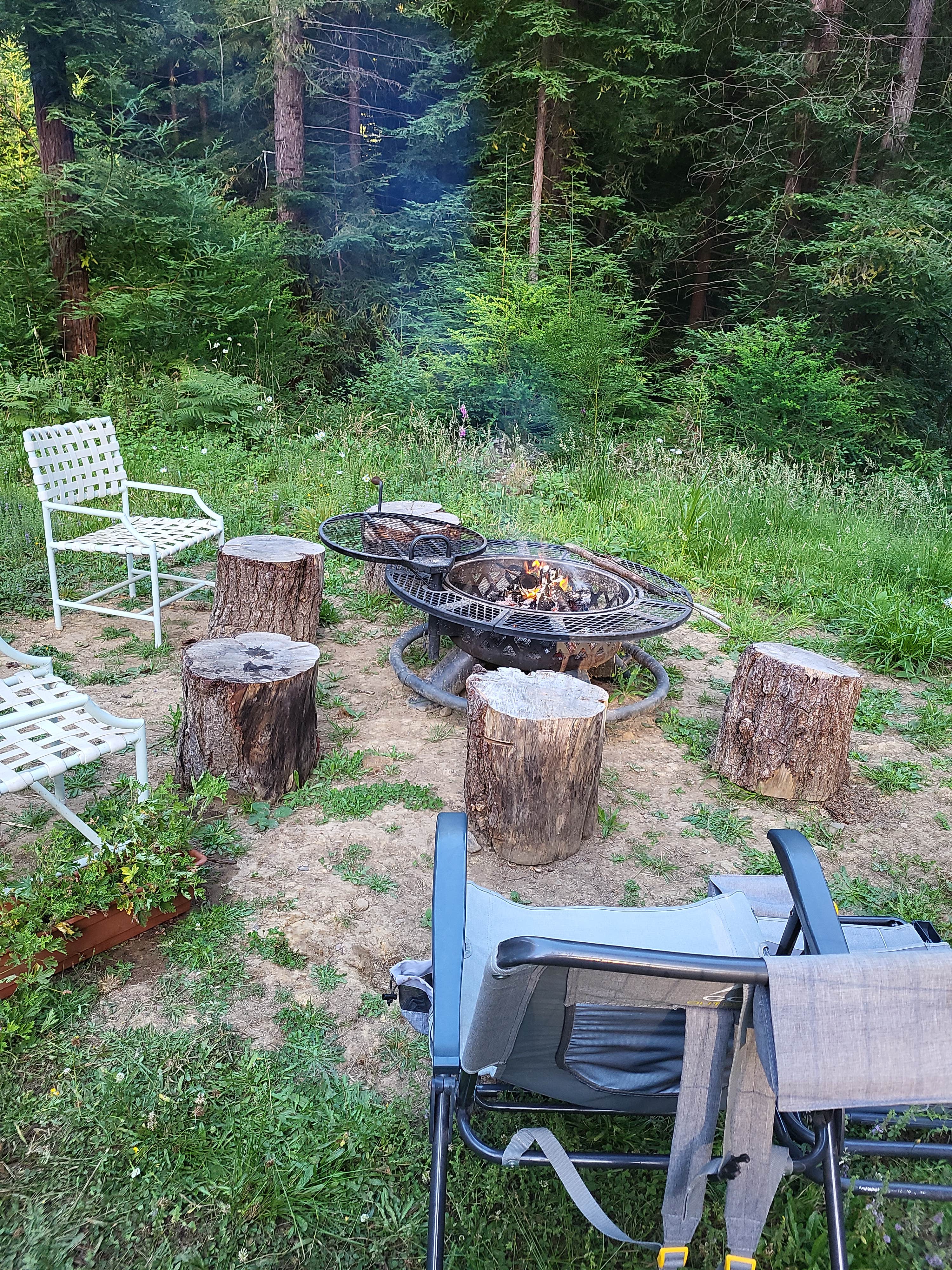 Camping near Riverwalk RV Park: Forest Farm Conservancy, Fortuna, California