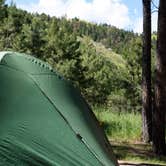 Review photo of Blue Bell Campground — Custer State Park by Tara S., July 31, 2019