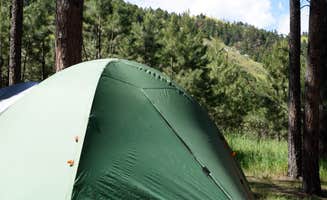 Tara S.'s photo at Blue Bell Campground — Custer State Park near Pringle, SD