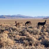 Review photo of Spencer Hot Springs by Evan C., August 18, 2025
