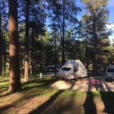 Review photo of Blue Bell Campground — Custer State Park by Tara S., July 31, 2019