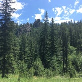 Review photo of Blue Bell Campground — Custer State Park by Tara S., July 31, 2019