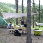 Review photo of Blue Bell Campground — Custer State Park by Tara S., July 31, 2019