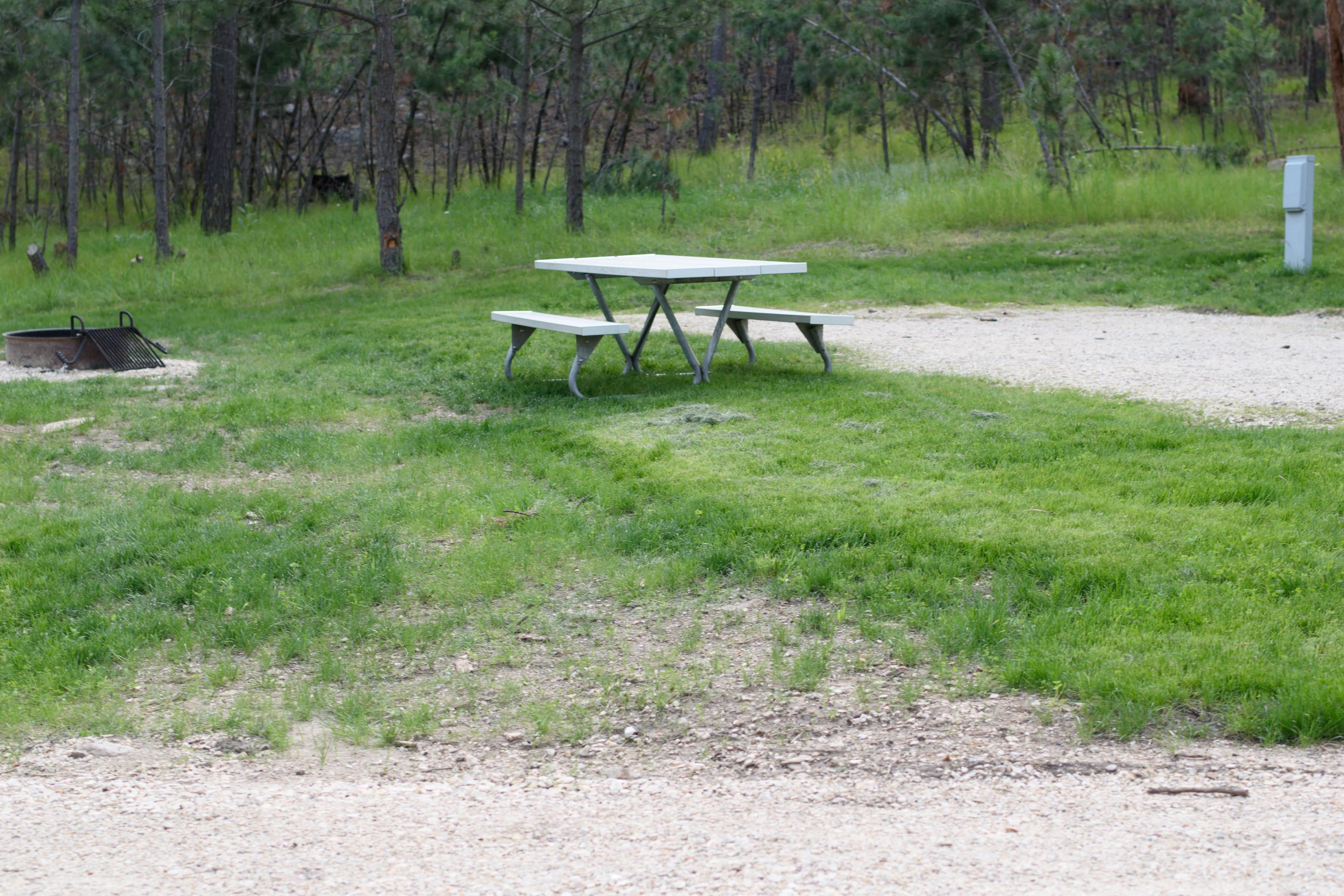 Camper-submitted photo at Blue Bell Campground — Custer State Park near Buffalo Gap, SD