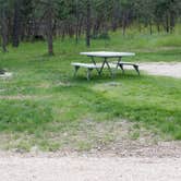 Review photo of Blue Bell Campground — Custer State Park by Tara S., July 31, 2019