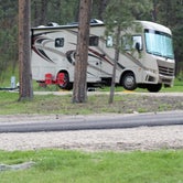 Review photo of Blue Bell Campground — Custer State Park by Tara S., July 31, 2019
