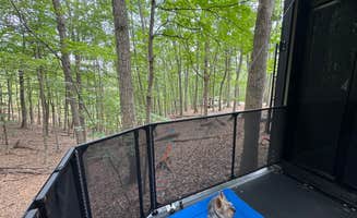 Stephen H.'s photo of camping with pets at Middle Ridge Campground near Cumberland, MD