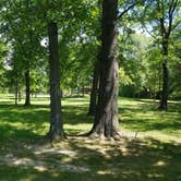 Review photo of Riverview Campground - Loud Thunder Forest Preserve by Scott N., July 31, 2019