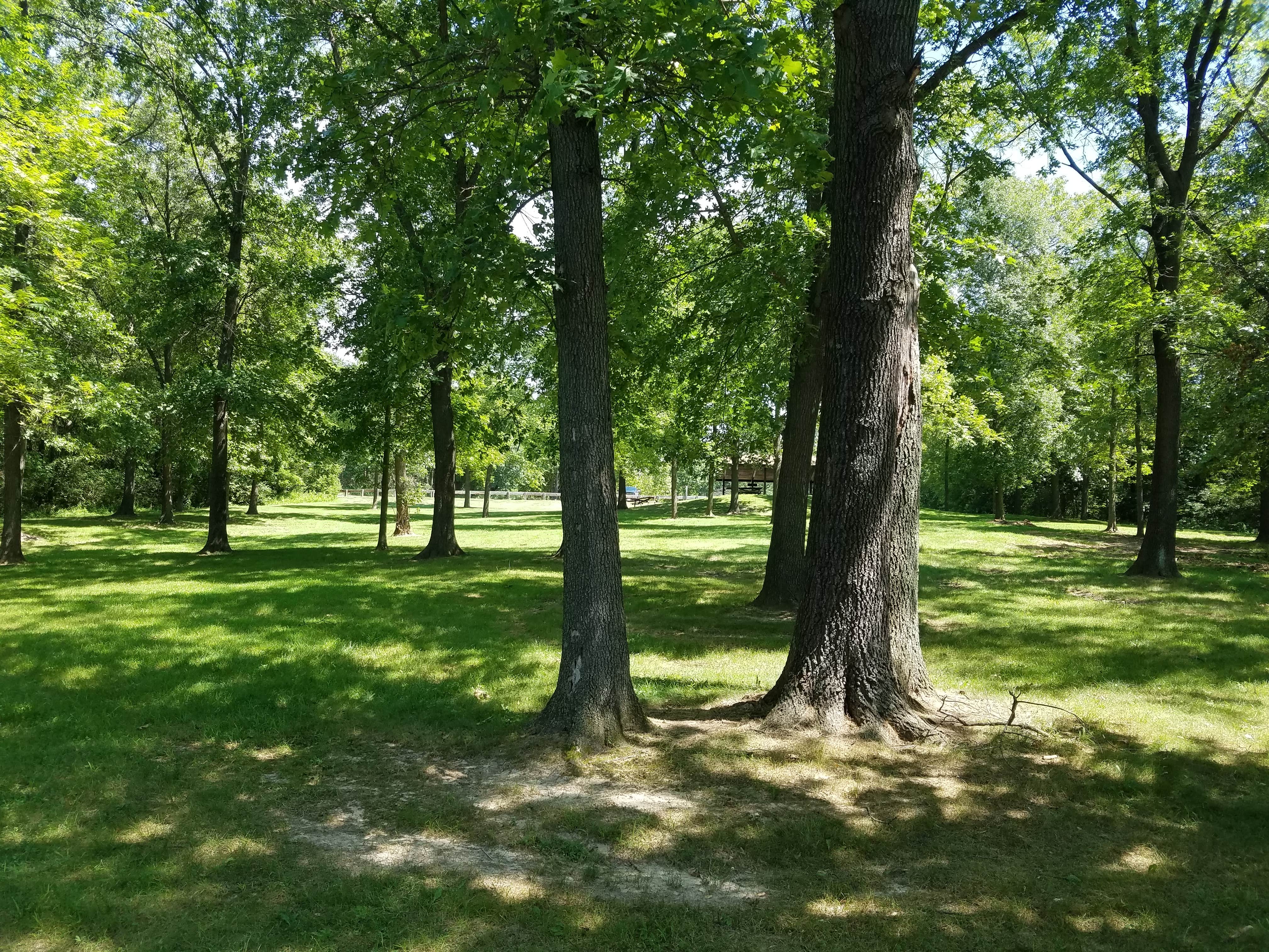 Camper submitted image from Loud Thunder Forest Preserve - 2