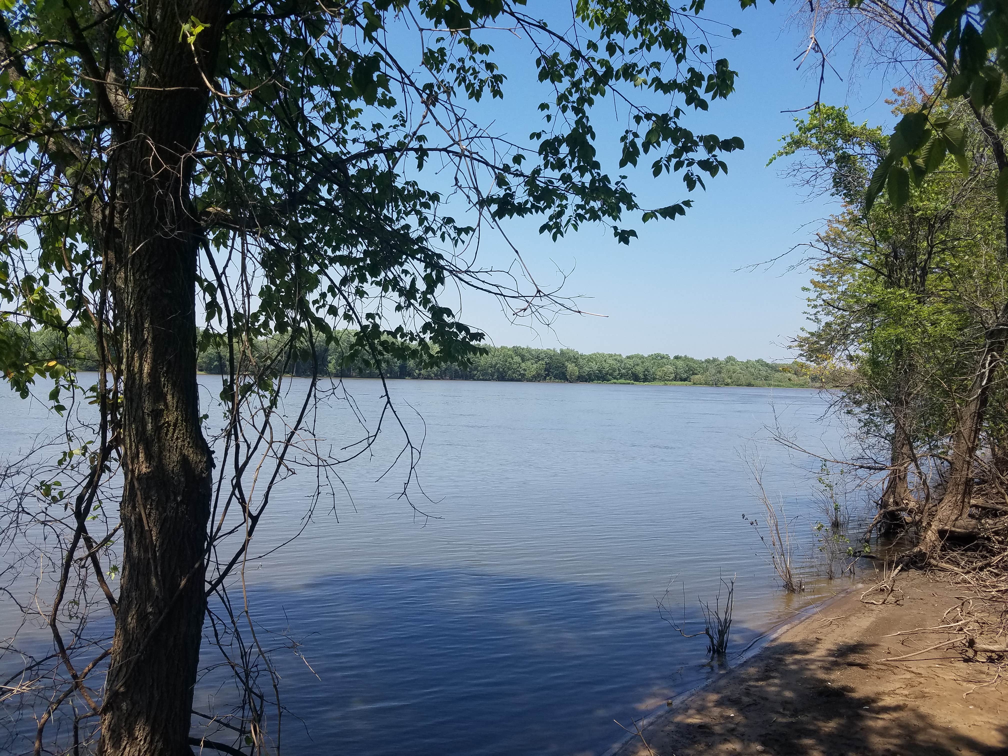 Camper-submitted photo at Riverview Campground - Loud Thunder Forest Preserve near Mississippi River - Pools 11-22