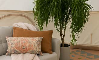 The Dyrt's photo of camping with pets at Sinking Creek Ranch near Ellington, MO