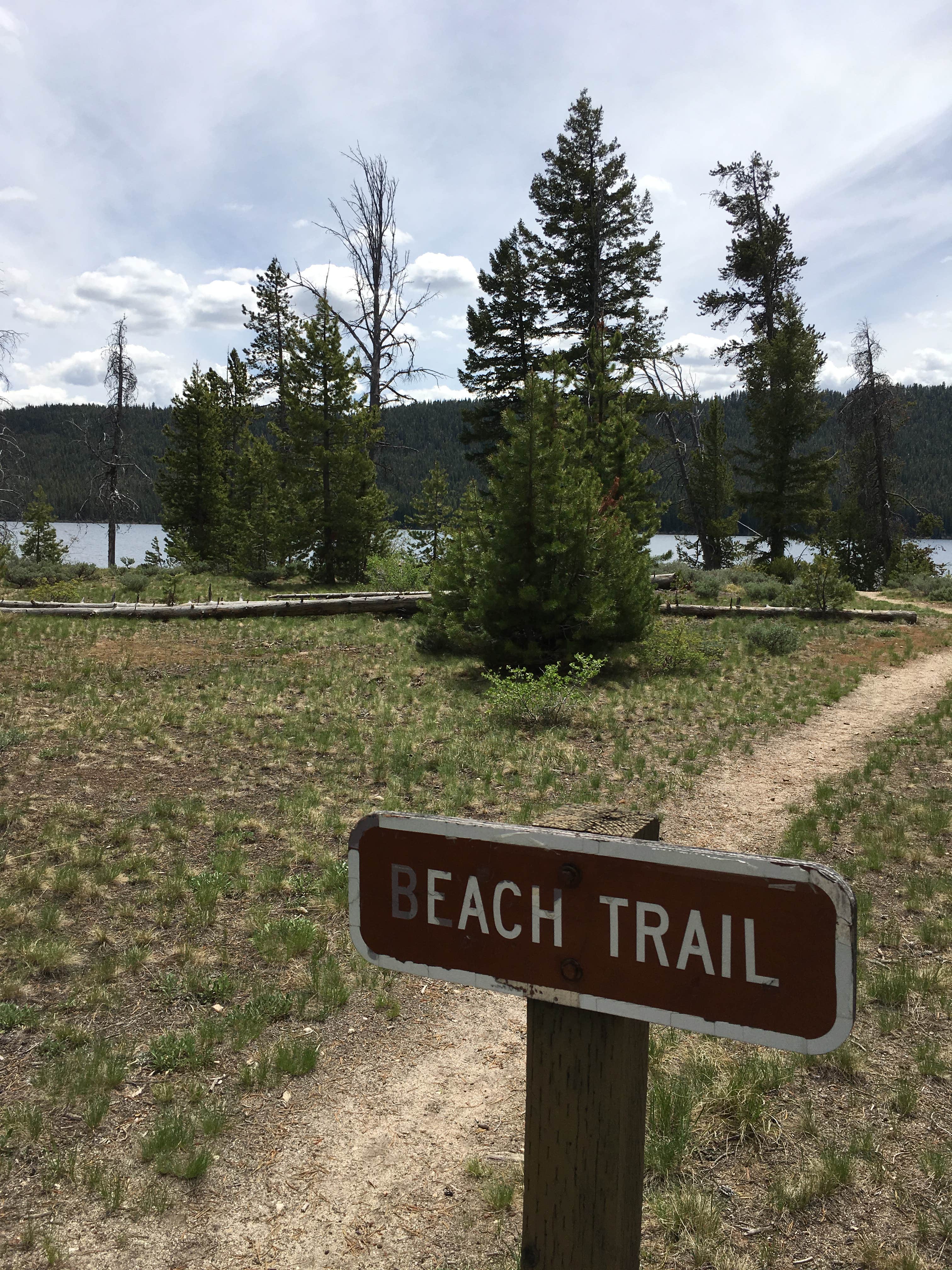 Camper-submitted photo at Smokey Bear near Sawtooth National Forest