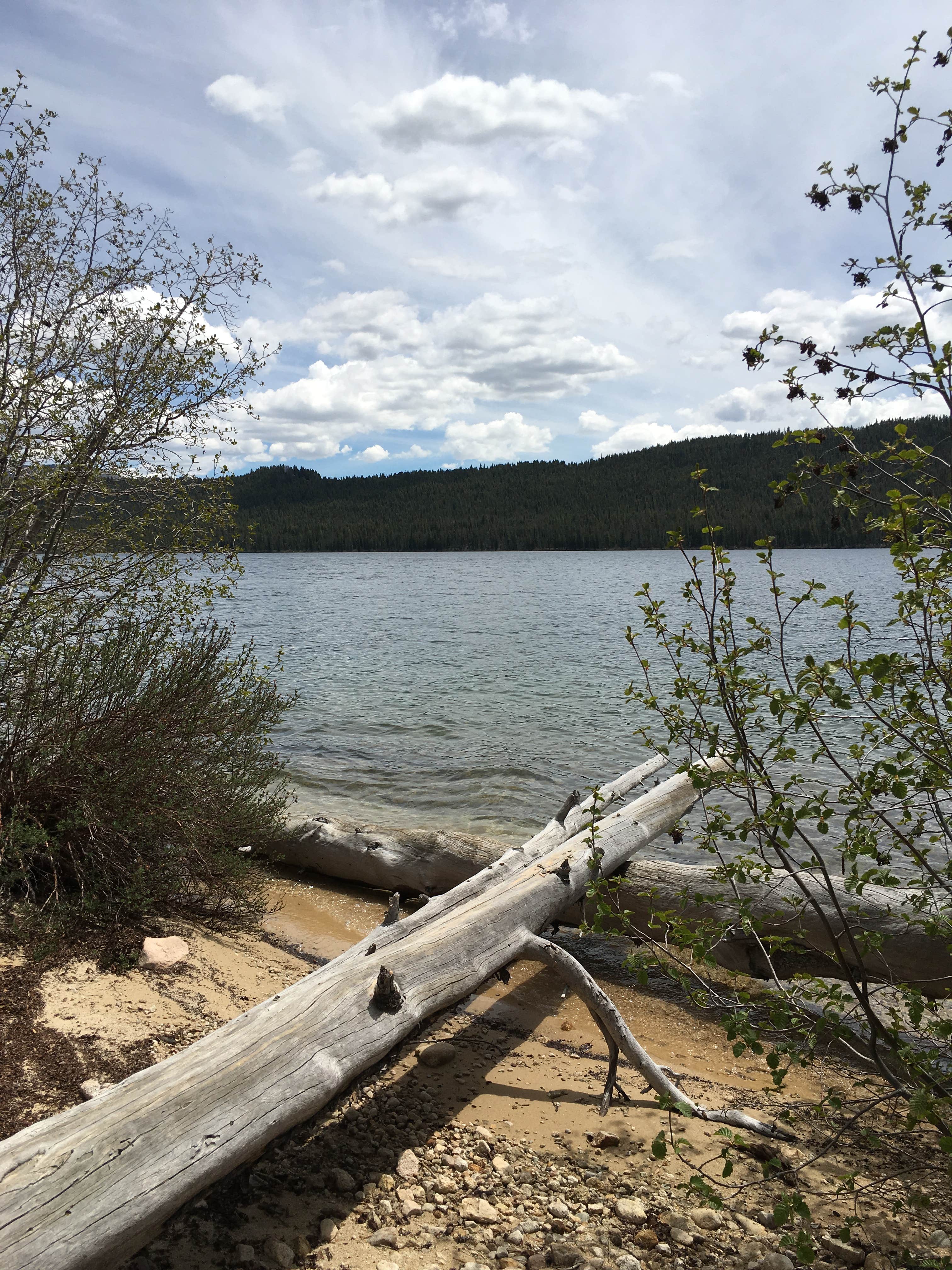 Camper-submitted photo at Smokey Bear near Sawtooth National Forest