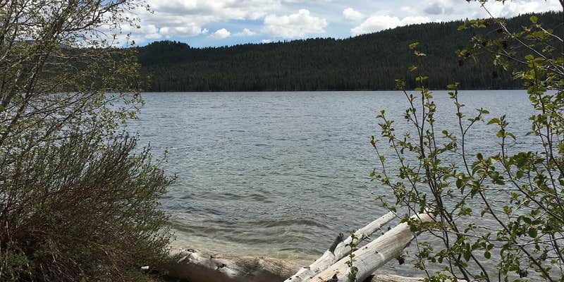 Camper submitted image from Smokey Bear