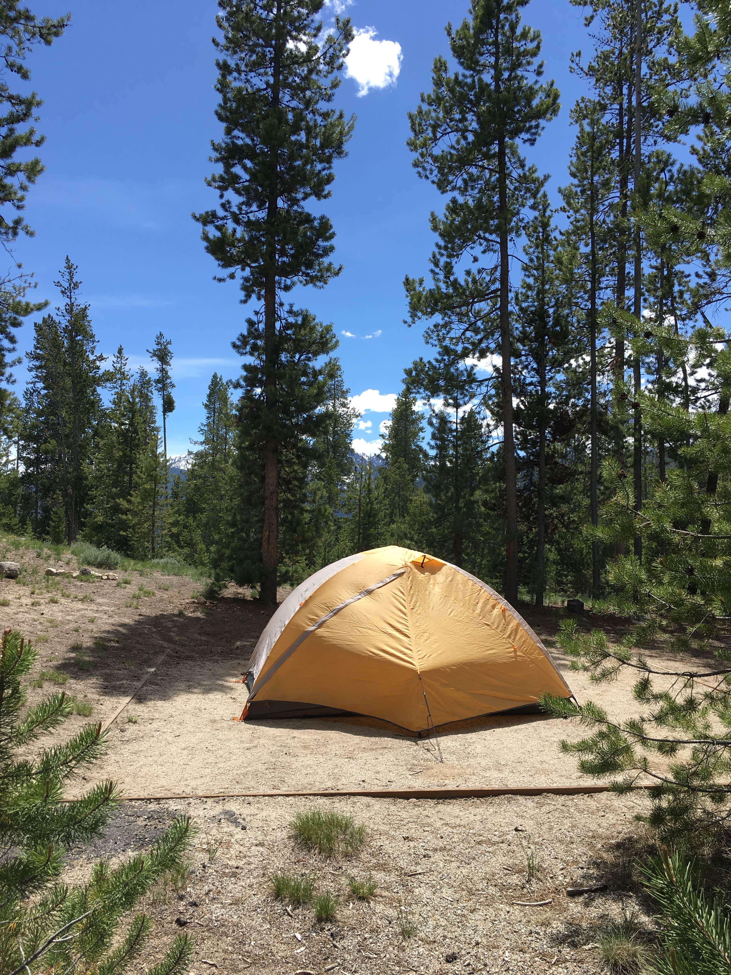 Annie C.'s photo at Glacier View Campground near Stanley, ID