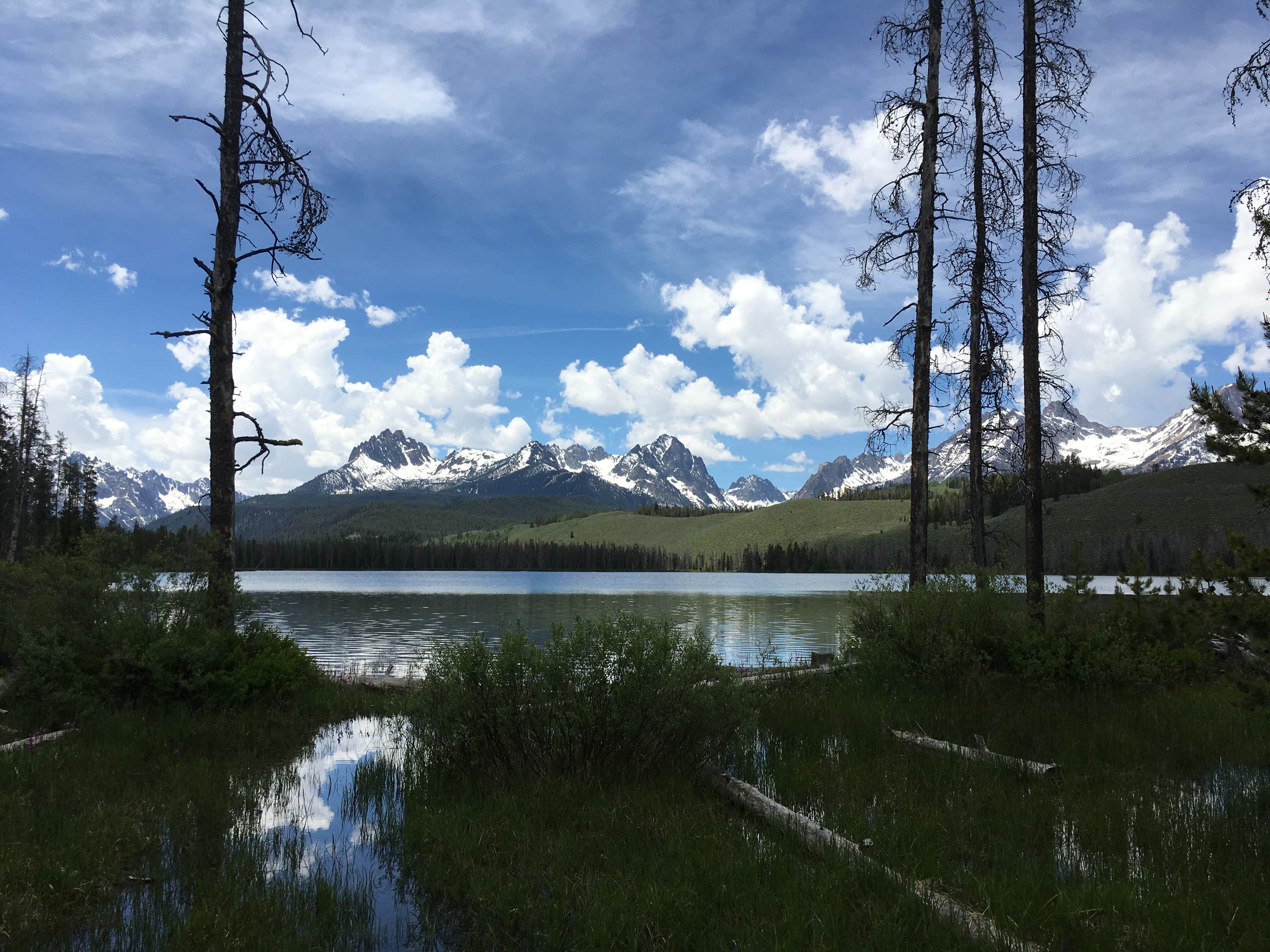 Camper submitted image from Chinook Bay Campground - 5