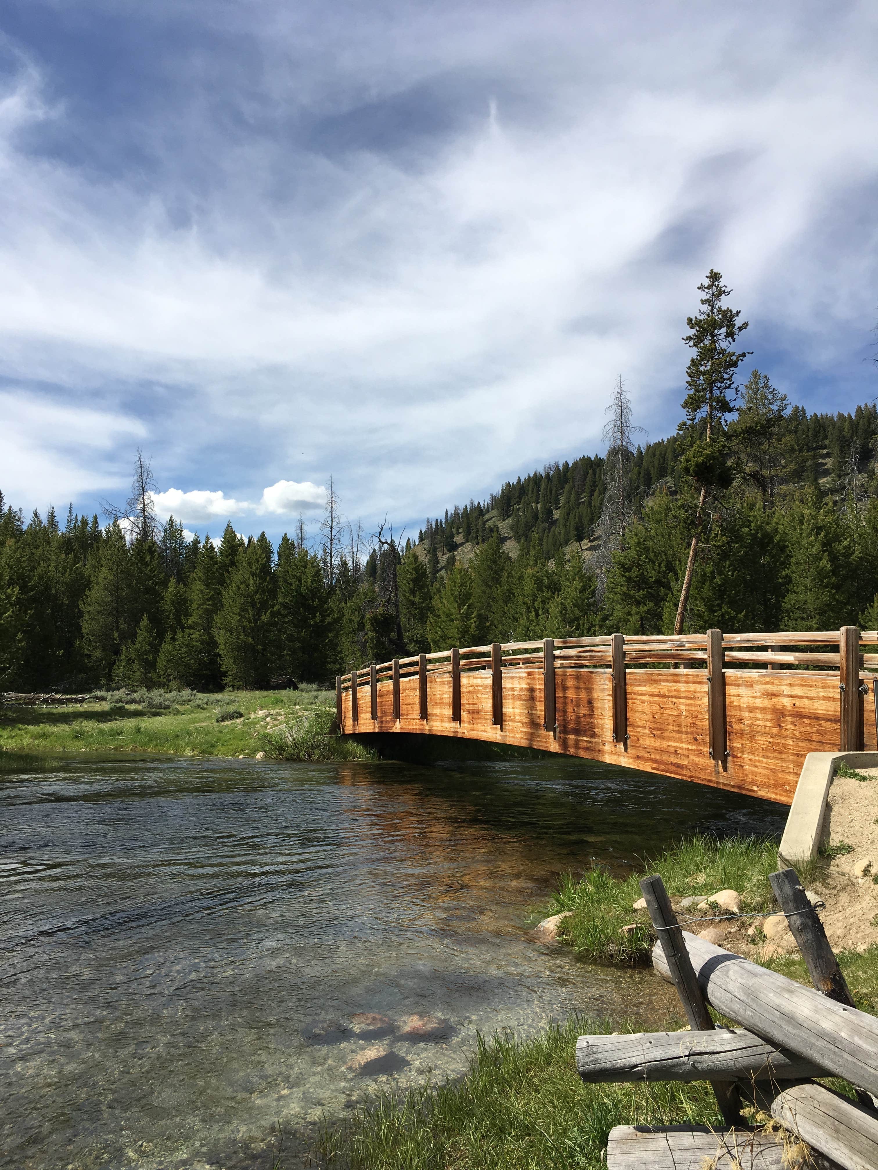 Camper submitted image from Chinook Bay Campground - 1