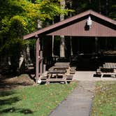 Review photo of Tygart Lake State Park Campground by Jennifer B., July 31, 2019