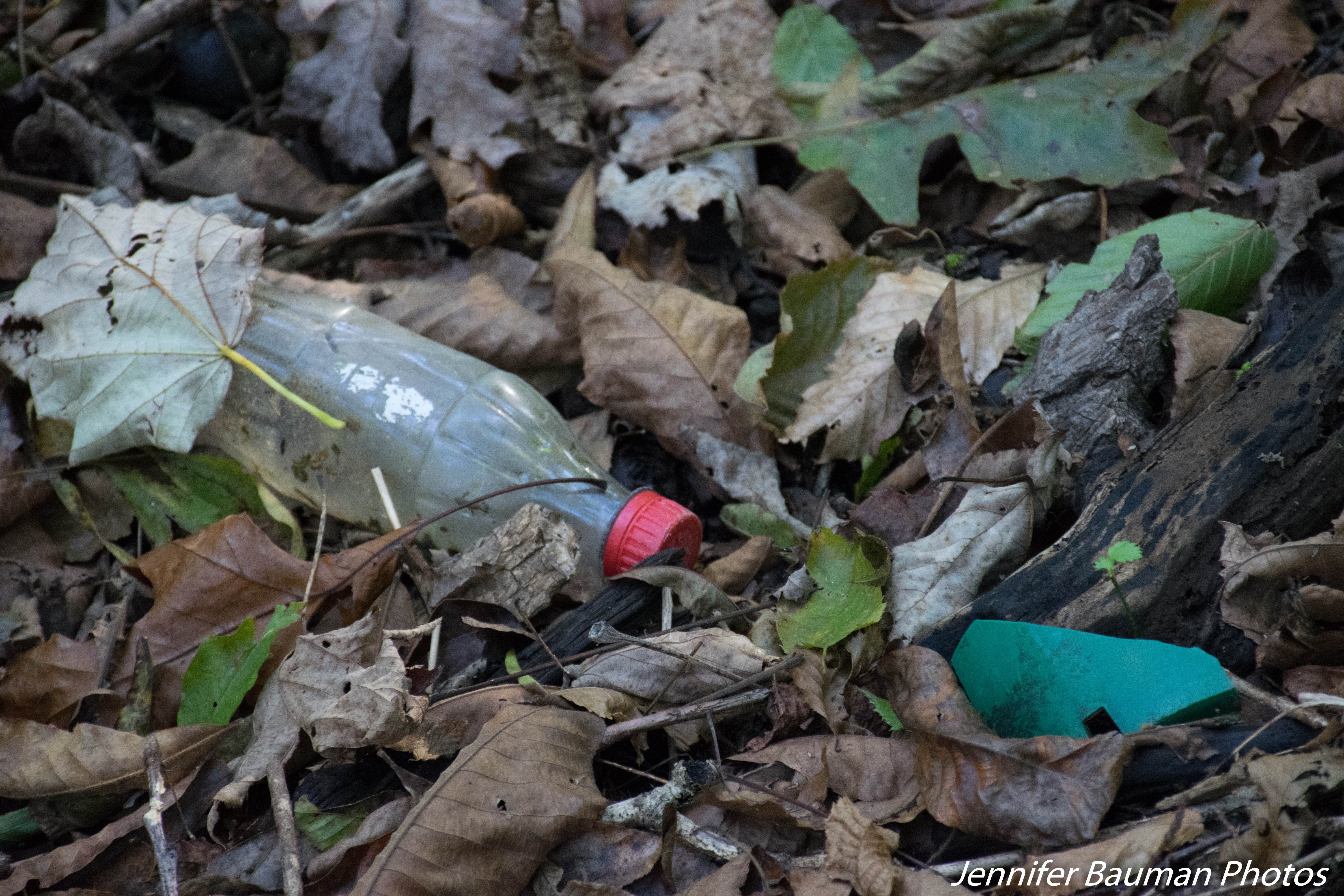 Camper-submitted photo at Tygart Lake State Park Campground near Paw Paw, WV