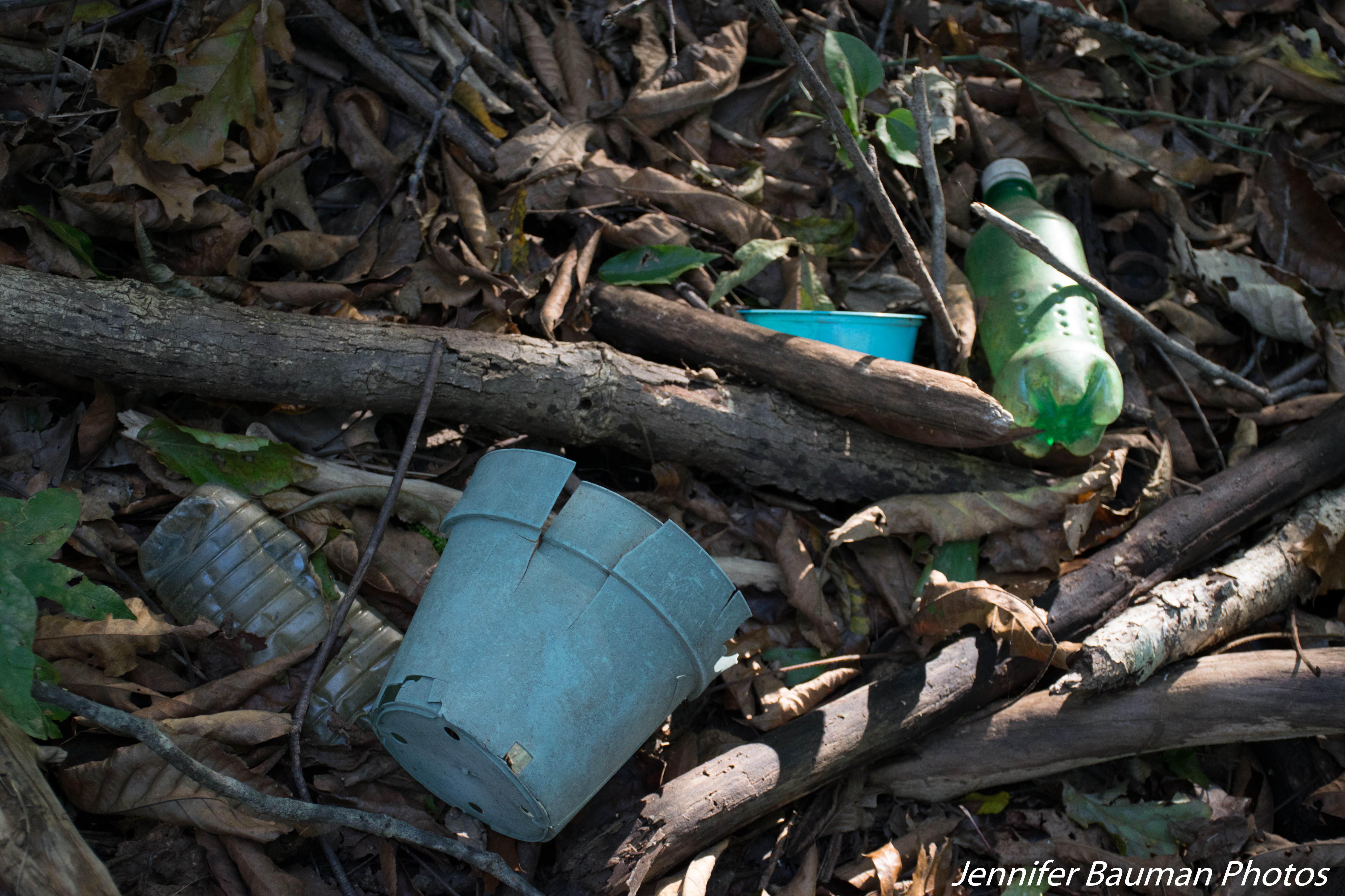 Camper-submitted photo at Tygart Lake State Park Campground near Paw Paw, WV