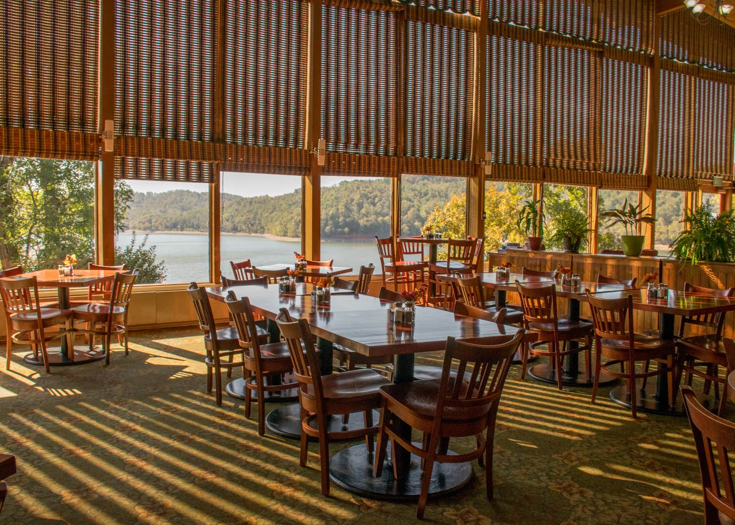 Tygart Lake State Park Camping The Dyrt